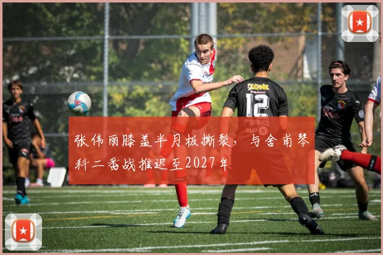 张伟丽膝盖半月板撕裂,与舍甫琴科二番战推迟至2027年