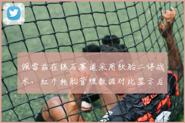 佩雷兹在银石赛道采用软胎二停战术，红牛轮胎管理数据对比显示后段优势明显
